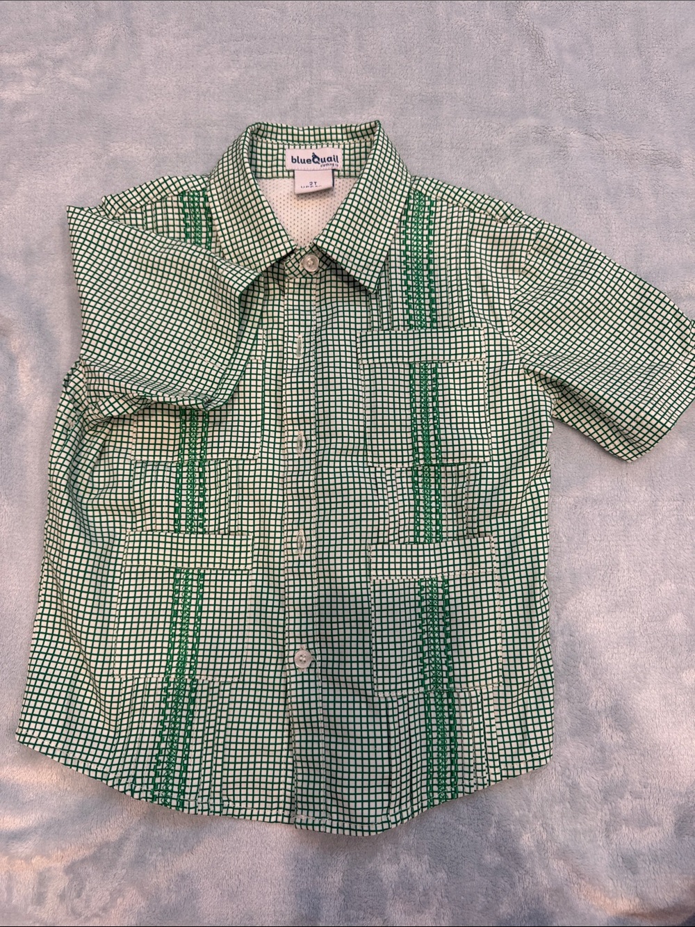 Blue Quail 2t Green Check Short-Sleeve Button-Up Shirt